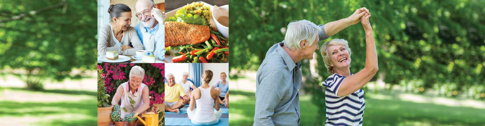 aravilla-osprey-assisted-living-senior-community Aravilla Osprey - Planned Assisted Living Community